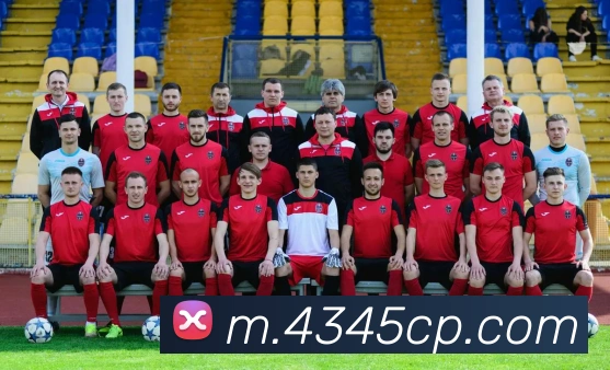 中彩网平台生态图